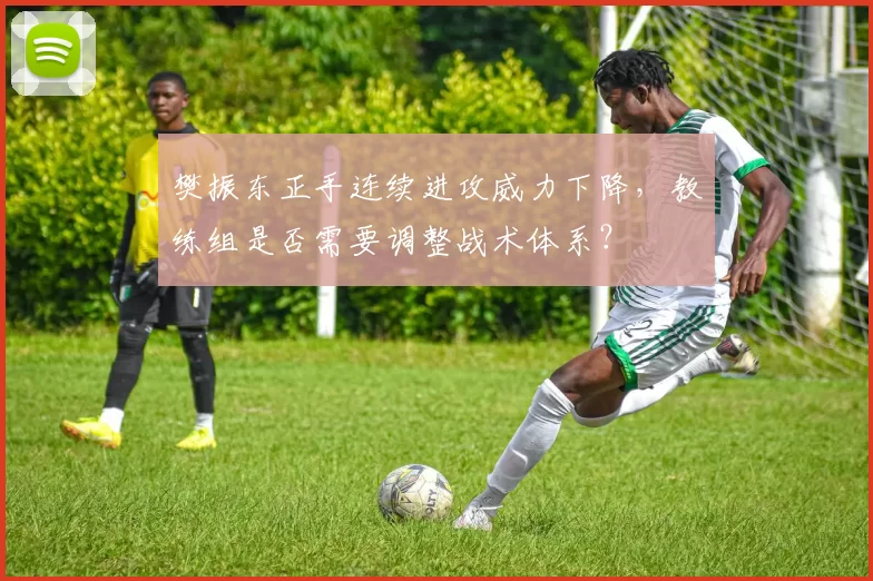 樊振东正手连续进攻威力下降，教练组是否需要调整战术体系？