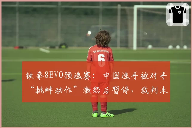 铁拳8EVO预选赛：中国选手被对手“挑衅动作”激怒后暂停，裁判未警告反罚消极比赛